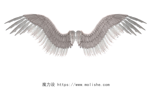 白色羽毛的天使翅膀天使的翅膀